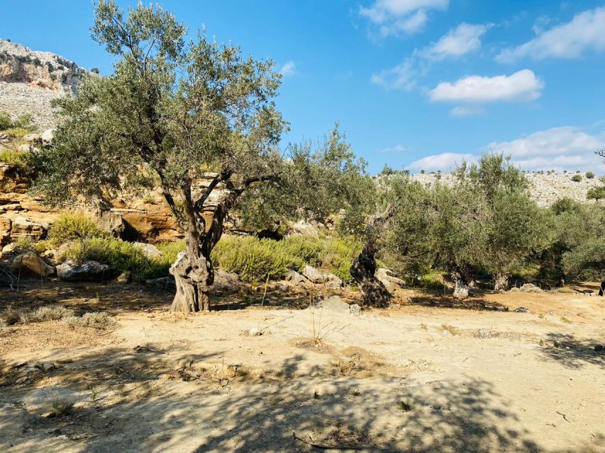 Rhodes: Guided Hike to 7 Springs From Archangelos - Last Words