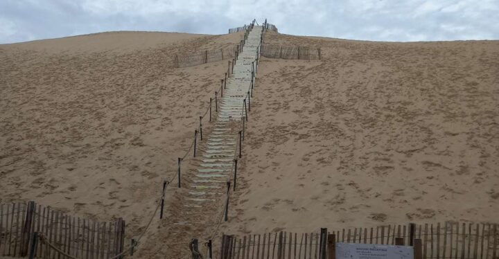 Dune Du Pilat and Oysters Tasting ! What Else ? - Key Points