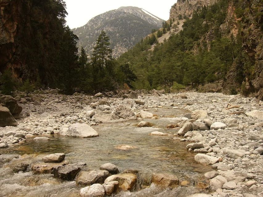 From Agia Galini/Matala: Samaria Gorge Hiking Tour - Tour Details