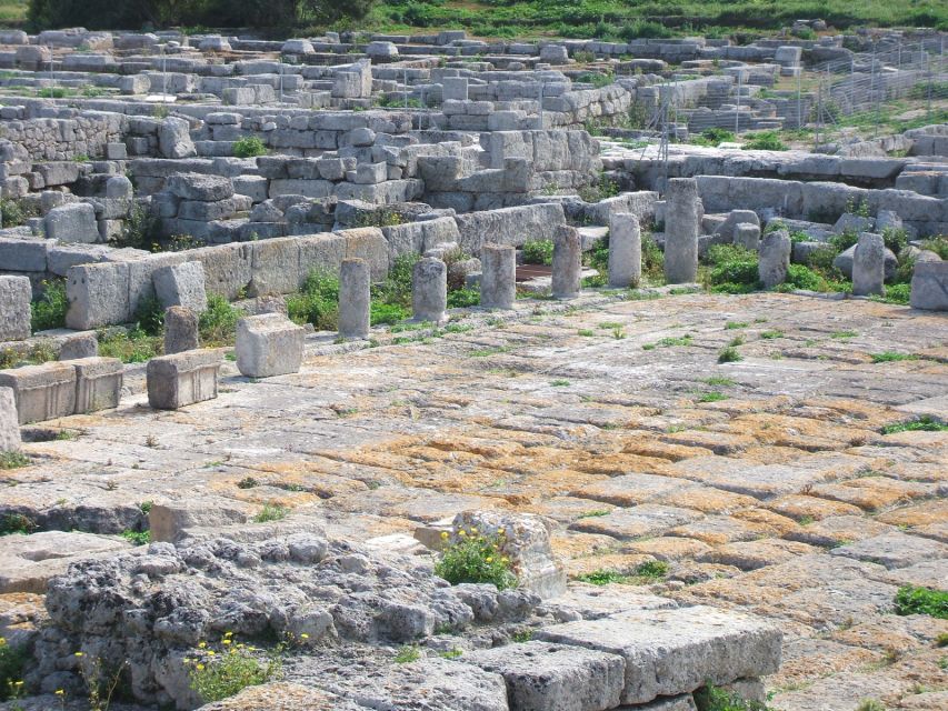 Gnatia Ruins and Archaeological Museum Private Guided Tour - Key Points