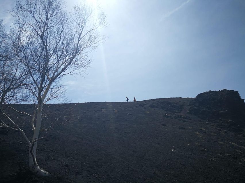 Guided Trekking on Etna Volcano With Transfer From Syracuse - Key Points