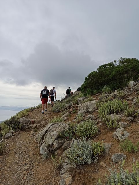 Kos: Moderate Hiking Tour on Dikaios Mountain - Key Points