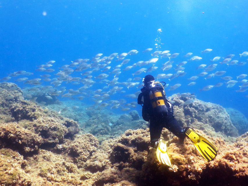 Rhodes: Diving Adventure for Beginners and Experts - Activity Details