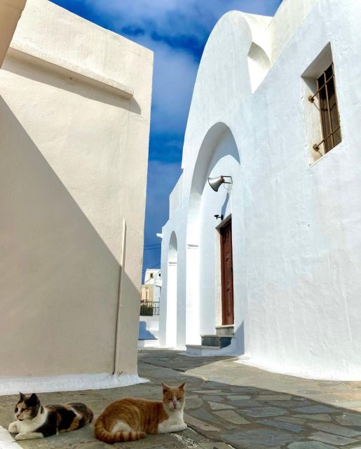 Bus Tour Around the Island of Naxos