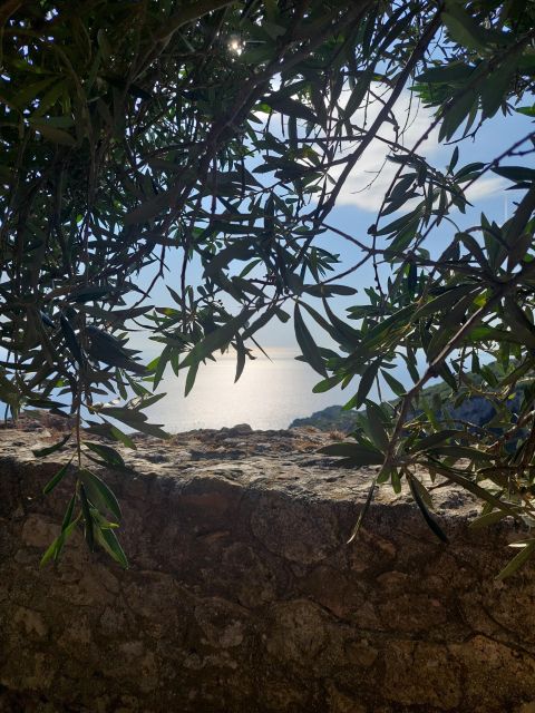 Corfu: Hiking in Olive Groves,Village,Sunset,with Swim Stop