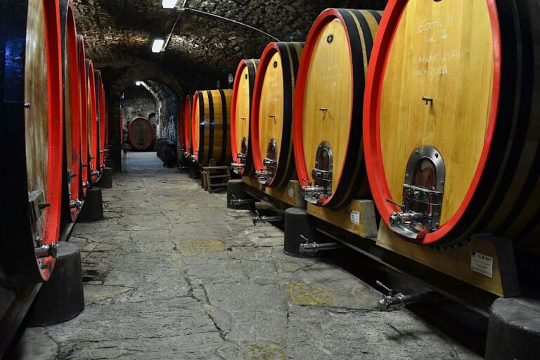 Florence: Small-Group Castle & Chianti Wine Tour