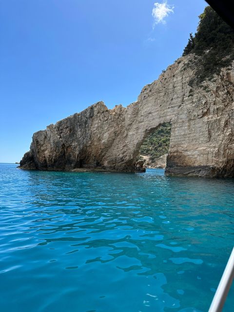 Glass Boat Cruises to Spot Turtles