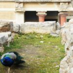 1 heraklion knossos self guided treasure hunt tour Heraklion: Knossos Self-Guided Treasure Hunt & Tour