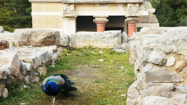 Heraklion: Knossos Self-Guided Treasure Hunt & Tour