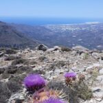 1 ierapetra eastern crete nature jeep driving tour Ierapetra: Eastern Crete Nature Jeep Driving Tour