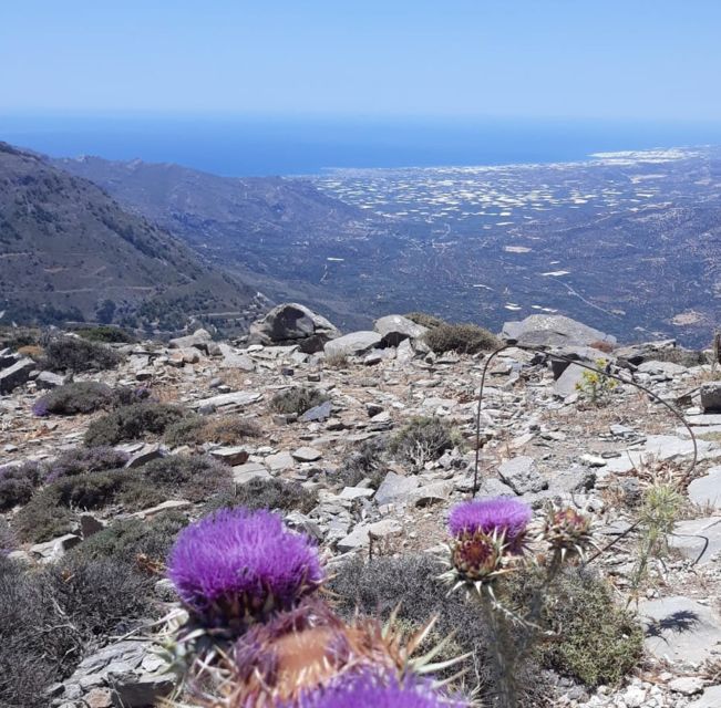 1 ierapetra eastern crete nature jeep driving tour Ierapetra: Eastern Crete Nature Jeep Driving Tour