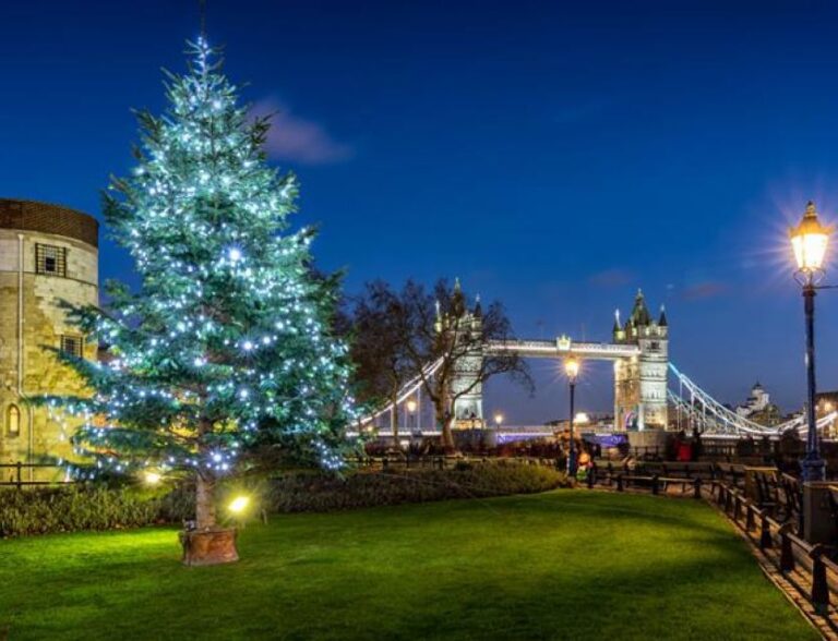 London: Christmas Lights by Night Open-Top Bus Tour