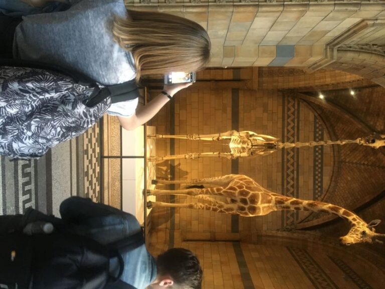 London: Natural History Museum Entry Ticket and Guided Tour