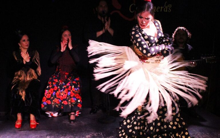 Madrid: Flamenco Show With Tapas and Wine Tour