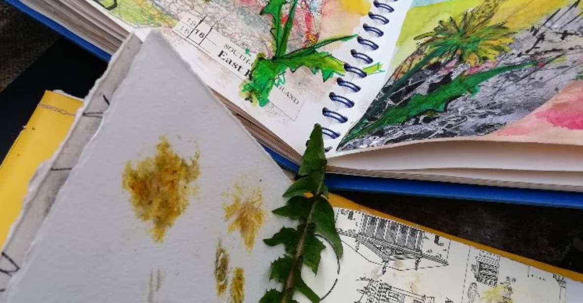 Maidstone: Mote Park Nature Walk and Drawing Workshop