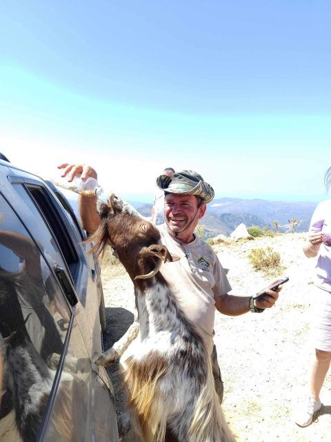 1 malia lasithi plateau zeus cave guided tour Malia: Lasithi Plateau Zeus Cave Guided Tour