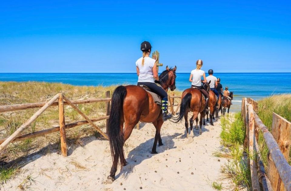 1 paros island horseback riding adventure Paros: Island Horseback Riding Adventure