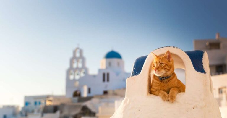 Santorini: Instagram Highlights Tour With a Photographer