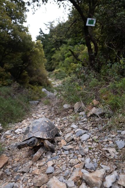 1 trekking TREKKING