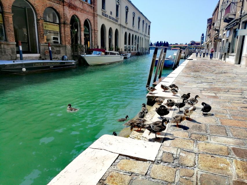 Venice: Mazzorbo, Burano and Murano Island Walking Tour - Island Exploration