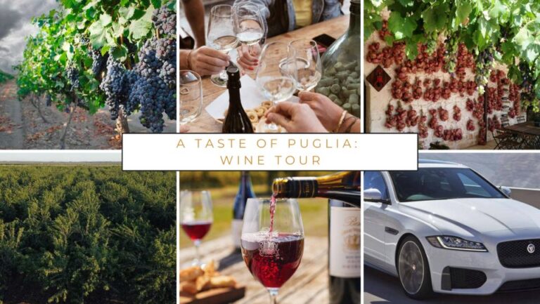 Wine Tasting Experience in the Apulian Countryside!