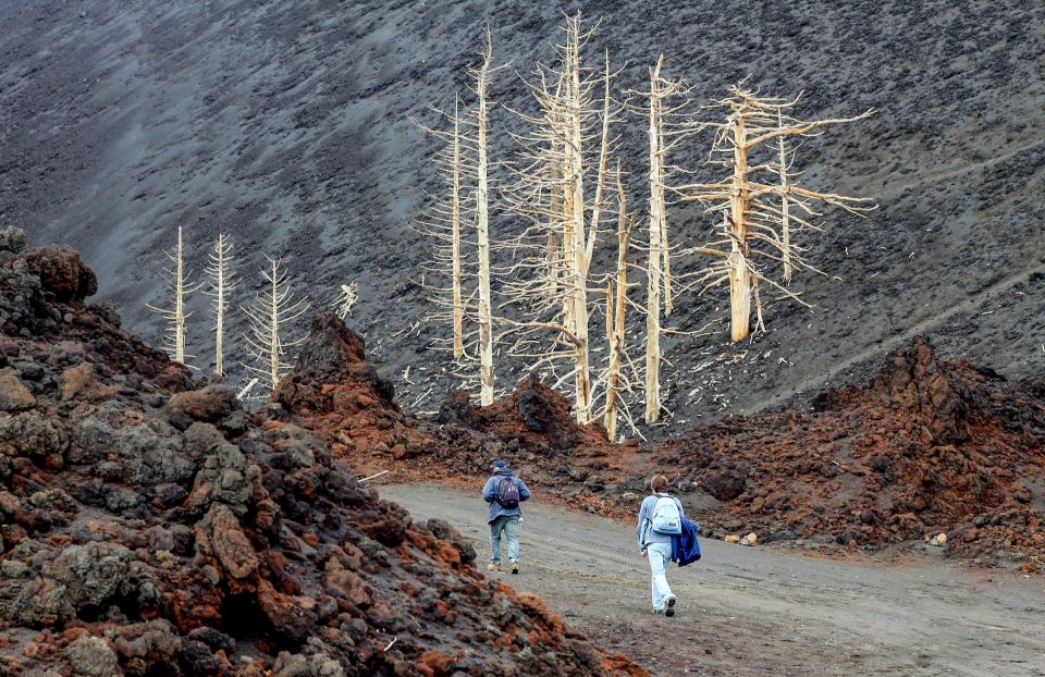 Etna: Private 4x4 Tour With Hotel Pick-Up From Catania - Itinerary