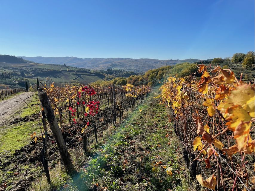 Florence: Tuscany & Chianti Classico Wine & Hike With Lunch - Tour Inclusions