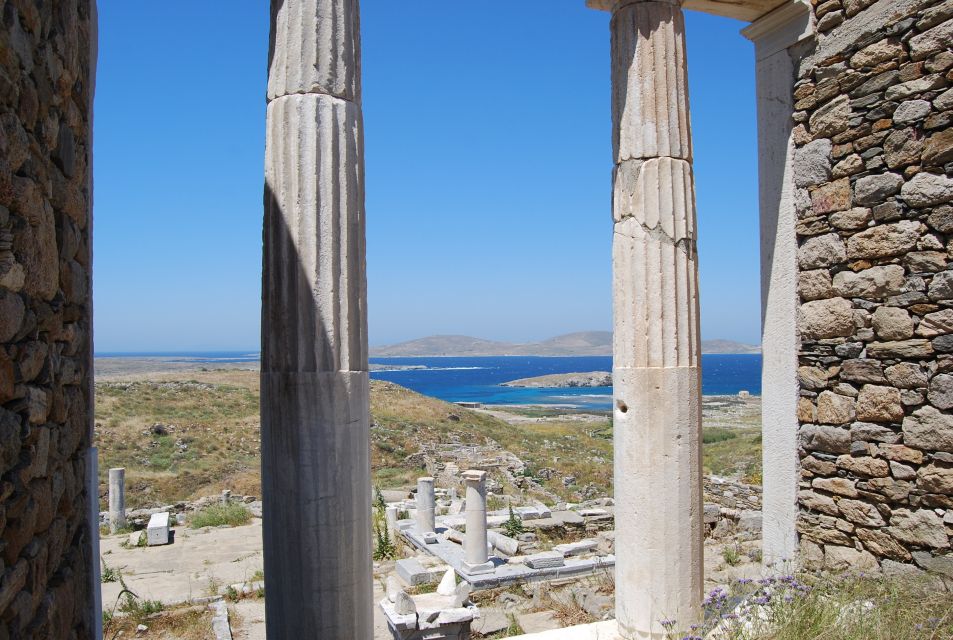 From Naxos: Delos and Mykonos Full-Day Boat Trip - Inclusions