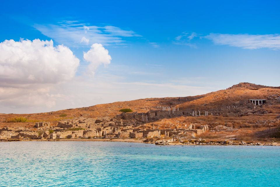 From the Cruise Ship Port: The Original Delos Guided Tour - Includes