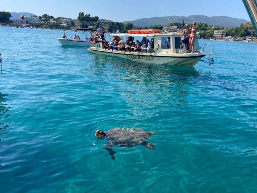 Glass Boat Cruises to Spot Turtles - Itinerary Details