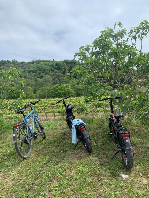 Kefalonia Wine Tour on E-Bikes - Activity Details