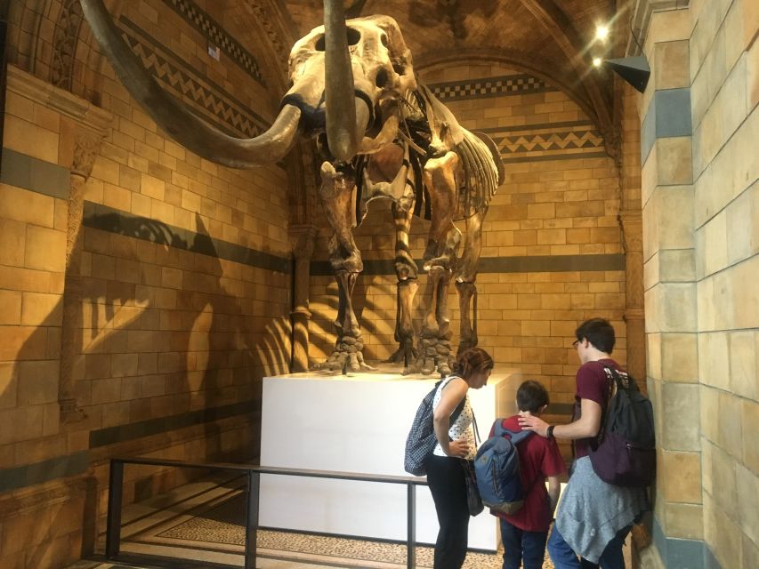 London: Natural History Museum Entry Ticket and Guided Tour - Cancellation Policy