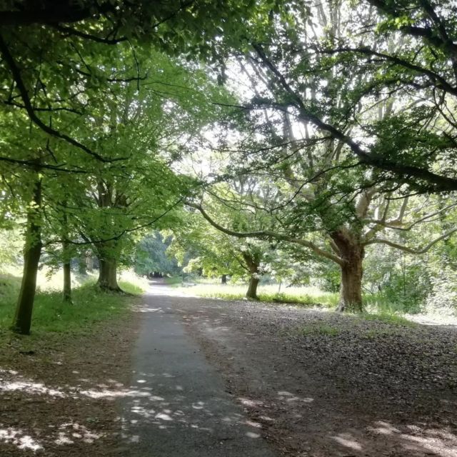 Maidstone: Mote Park Nature Walk and Drawing Workshop - Activity Description