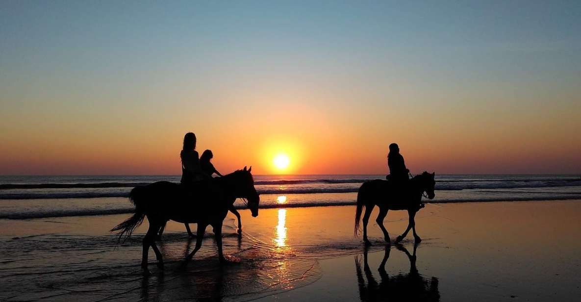 Paros: Island Horseback Riding Adventure - Restrictions