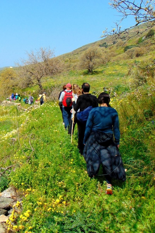 Tinos: Tarampados to Komi Guided Hiking Tour - Languages Available