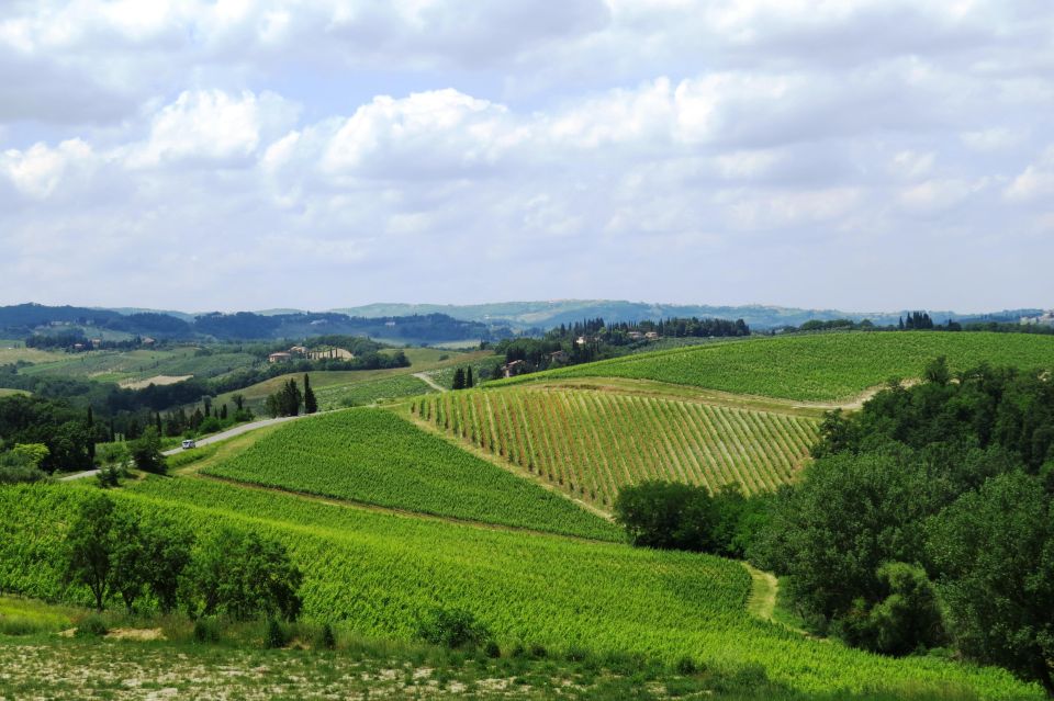 Tuscany: Full-Day Luxury Minivan Tour With Siena and Pisa - Itinerary Overview