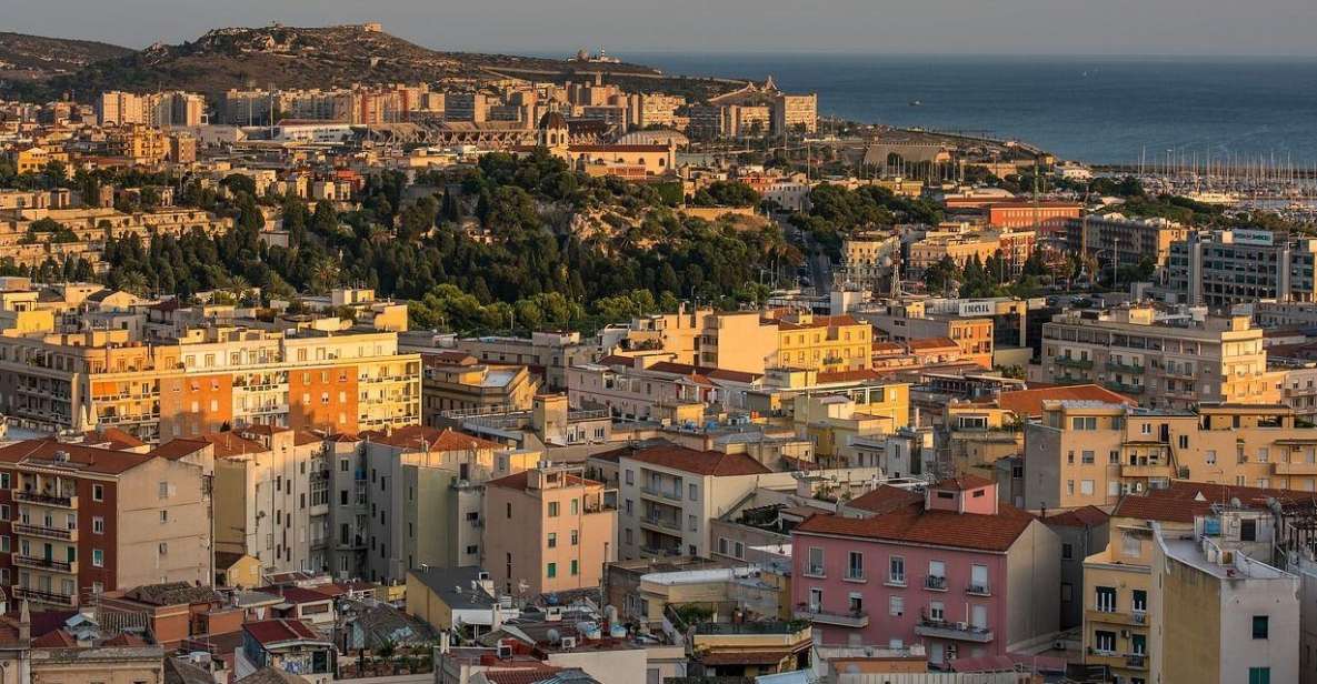 Cagliari Private Walking Tour - Group Type and Highlights