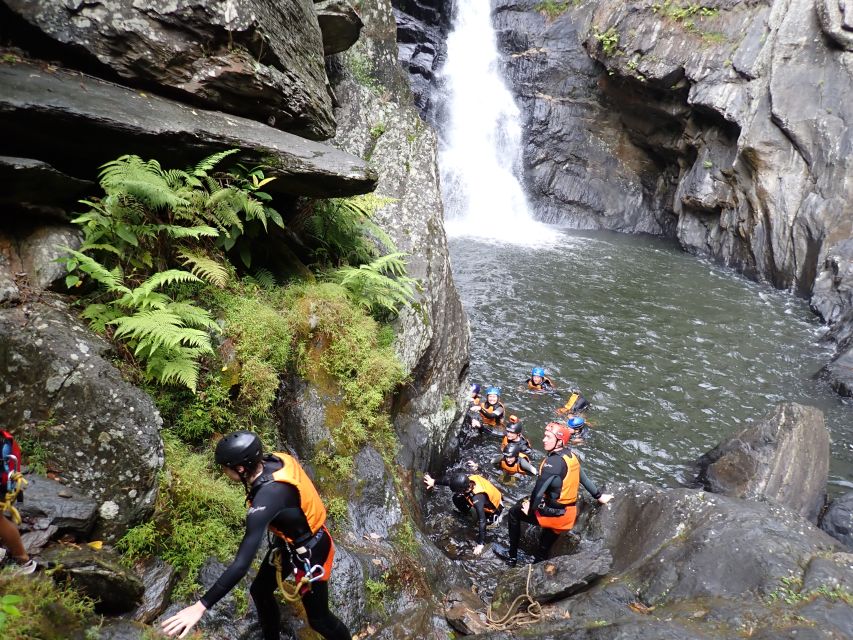 Cairns: Waterfalls Tour Full Day - Advanced - Meeting Point