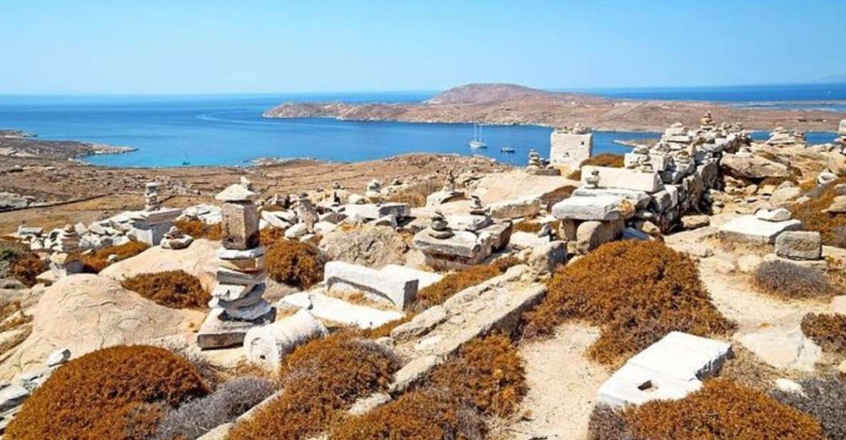 Delos and Mykonos One Day Cruise From Naxos - Itinerary Highlights