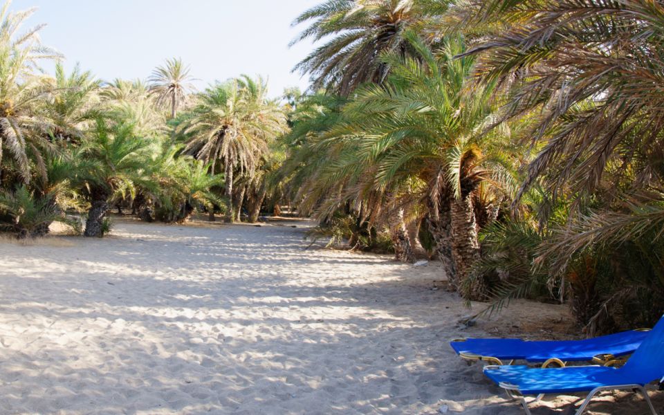 Exotic Vai Palm Beach, Toplou Monastery & Sitia Town - Important Information