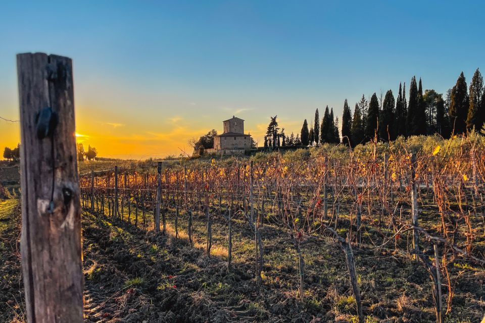 Florence: Tuscany & Chianti Classico Wine & Hike With Lunch - Important Information