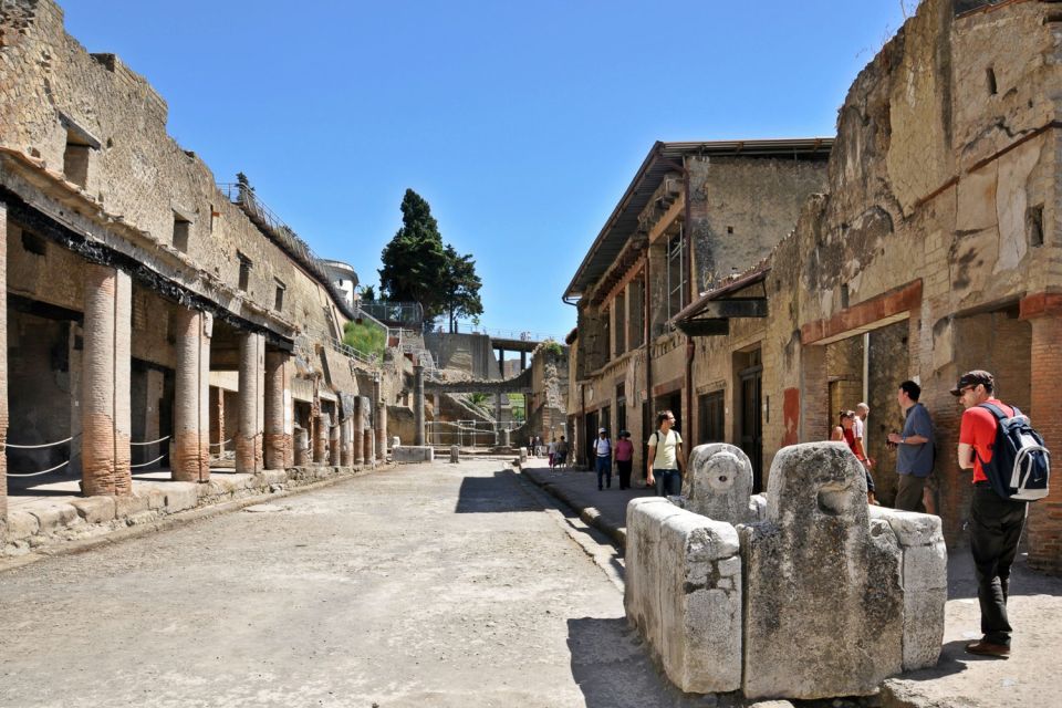 From Naples: Pompeii and Herculaneum Tour With Lunch - Tour Description