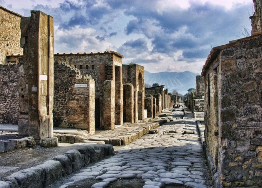 From Naples: Pompeii and Herculaneum VIP Tour With Lunch - Tour Description