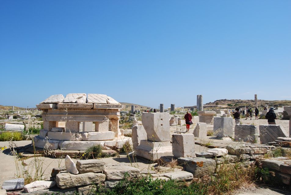 From Paros: Delos and Mykonos Full-Day Boat Trip - Customer Reviews