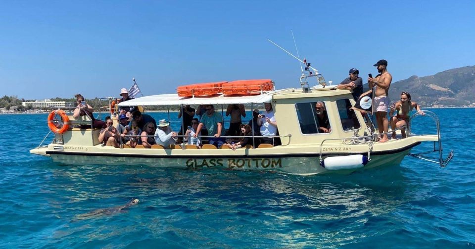 Glass Boat Cruises to Spot Turtles - Key Highlights