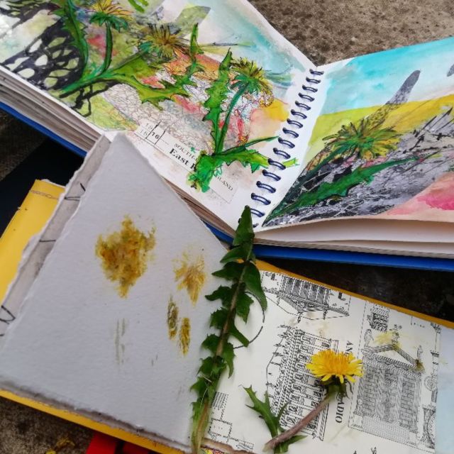 Maidstone: Mote Park Nature Walk and Drawing Workshop - Inclusions