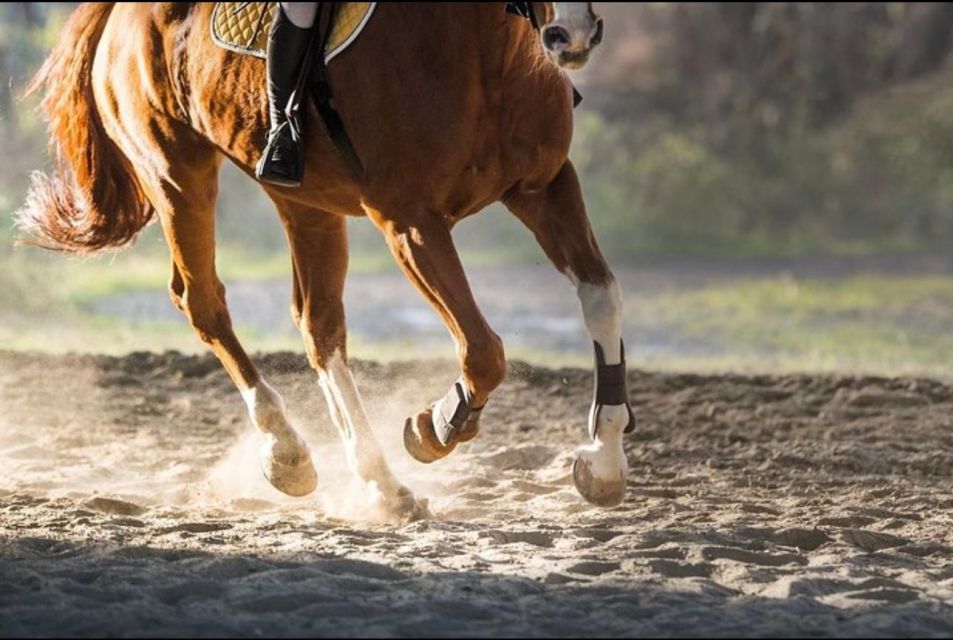 Paros: Island Horseback Riding Adventure - Booking Information