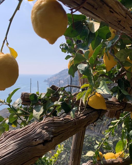 Path of Lemons Trekking Private Tour - Inclusions