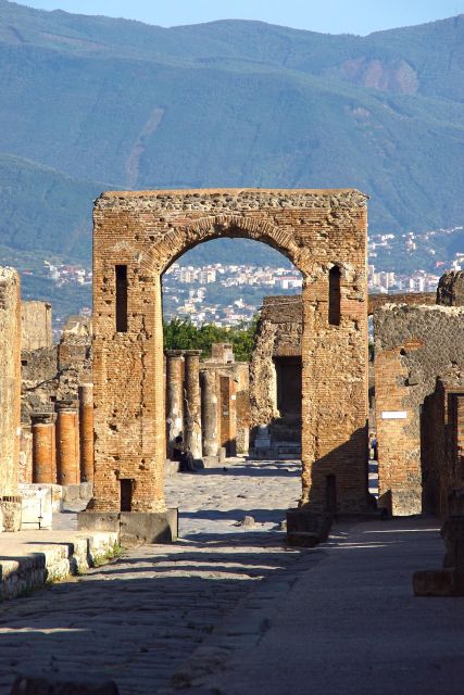 Pompeii and Mount Vesuvius Wine Tasting Private Tour - Important Information