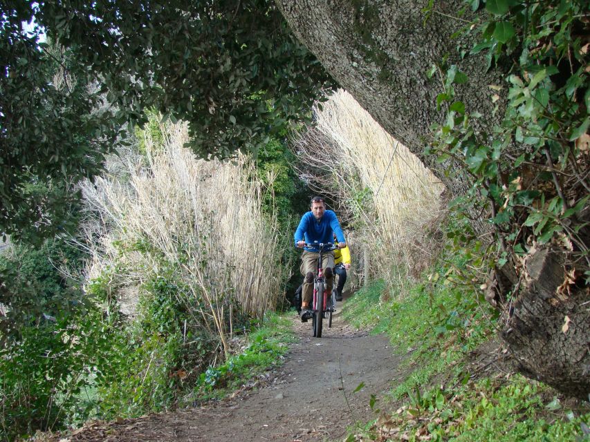 Rome: Private Appian Way & Albano Lake Full-Day E-Bike Tour - Activity Description